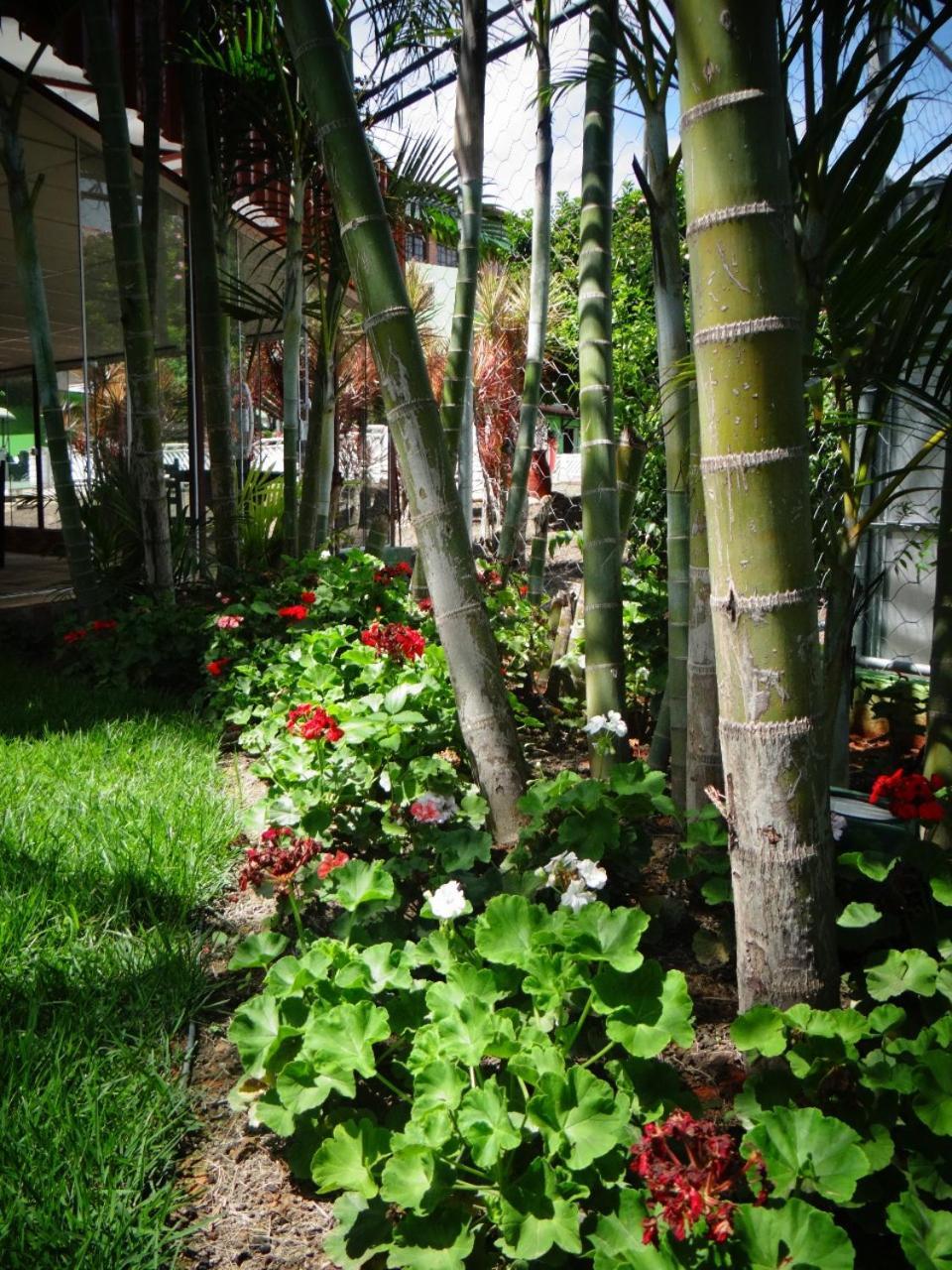 Ver A Vista Hotel Araruama Exterior photo