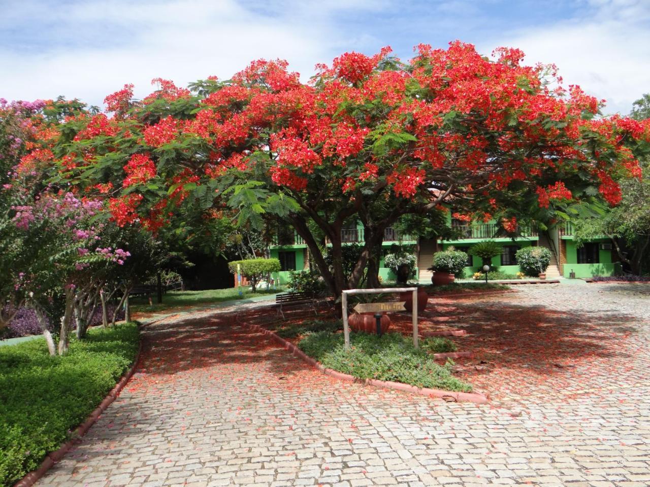 Ver A Vista Hotel Araruama Exterior photo